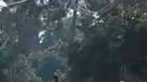 Crimen organizado en México tras inspectores, productores, vendedores…