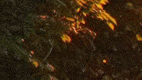 Aficionados del Liverpool durante la final de la UEFA Champions League.