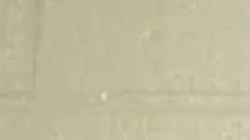 Maine Wells Tiroteo