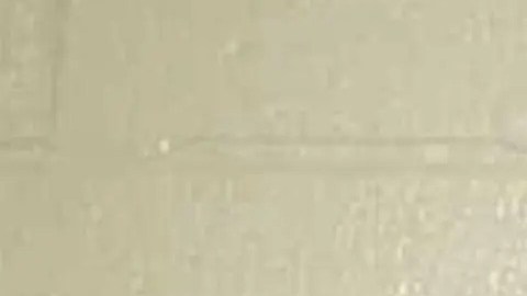 Maine Wells Tiroteo