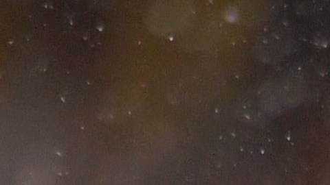 Atlas volverá a disputar una final y buscará el bicampeonato en la Liga MX.