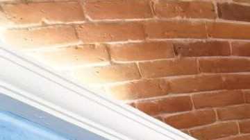 El profesor y doctor Ángel Balderas Puga  habla de su expulsión, la cual considera una represalia política.(Cortesía ABP)