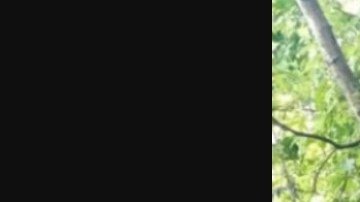 CJNG asesina al Comandante, sicario del Mayo Zambada.