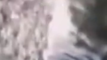 CJNG caza a un sicario de la Operativa MZ del Mayo.