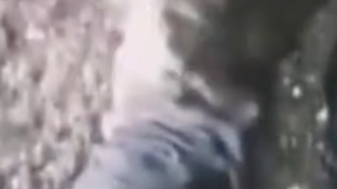 CJNG caza a un sicario de la Operativa MZ del Mayo.