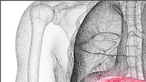 CR-Health-PFAs-fatty-liver-disease-0422