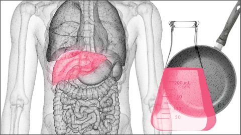 CR-Health-PFAs-fatty-liver-disease-0422