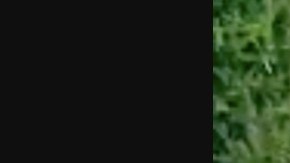 Captan narcoguerra con dron en Tierra Caliente, en México.