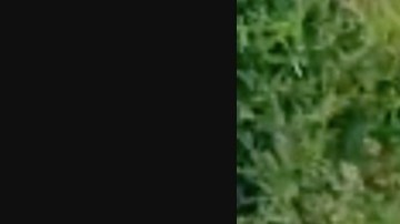 Captan narcoguerra con dron en Tierra Caliente, en México.