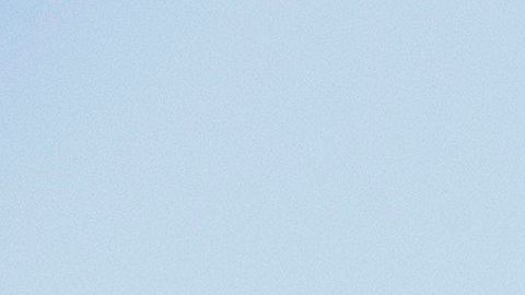 Caravana autos empleados