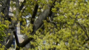 Manifestación "Fight for Our Future" en Washington, DC