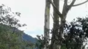 Bus incendiado por el Clan del Golfo en Yarumal, Antioquia