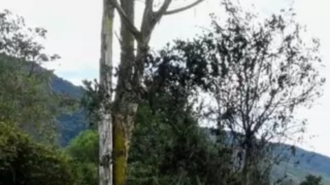 Bus incendiado por el Clan del Golfo en Yarumal, Antioquia