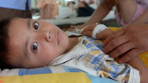 EE.UU. registra el peor brote de hepatitis del mundo con 6 niños muertos, 180 casos y 15 trasplantes de hígado