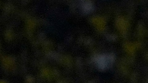 Ecuador Qatar 2022
