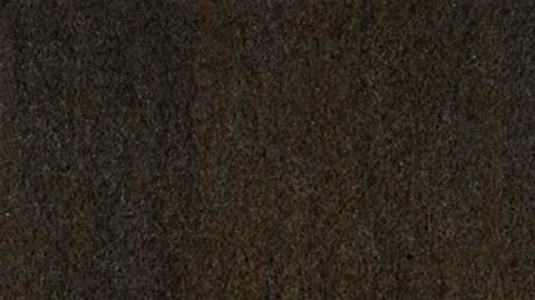 Son muchos los esfuerzos por coartar las oportunidades educativas inclusivas.  (Cortesía)