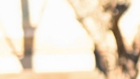 Ejército ruso emplea crematorios móviles para ocultar crímenes de guerra y los cuerpos de sus propios soldados en Ucrania