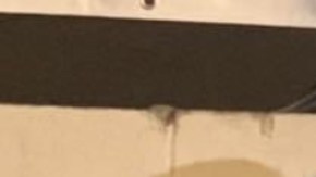 Familia Polanco, originaria de Guerrero, México. (Cortesía)