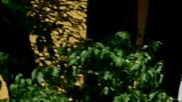 Hubo violencia en la previa de la final de la Europa League.