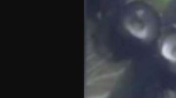 Muere abatido en balacera, el Flaco Zacatecas.