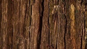 Jeep Grand Cherokee 4xe