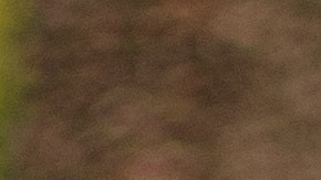 GenXpexels-ala-ben-brahem-8977603