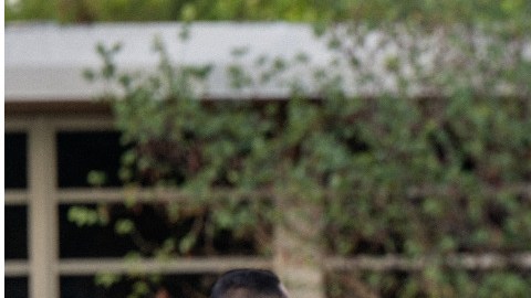 Un vecino de Ramos, reveló que lo había escuchado pelear con su abuela porque nunca se graduó.
