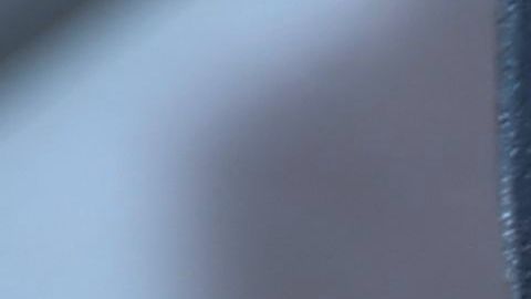 Jack Black hablando en la ceremonia de la inauguración de su estrella Paseo de la Fama de Hollywood en 2018.