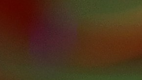 La expiloto de carreras se quitó las prótesis mamarias tras sufrir varias enfermedades.