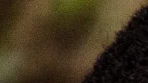 OMS explica qué es la viruela de mono, cómo se contagia, quién está en riesgo y cómo protegerse