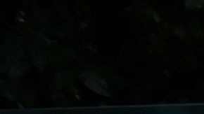 La directiva del Nice pidió disculpas a la familia de Emiliano Sala.