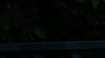 La directiva del Nice pidió disculpas a la familia de Emiliano Sala.