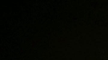 Jos y Max Verstappen.