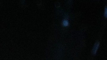 Gilberto "Zurdo" Ramírez se enfrentará a Bivol.