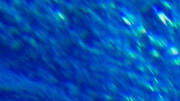 Hombre salva milagrosamente a niño con autismo que se ahogaba en una piscina