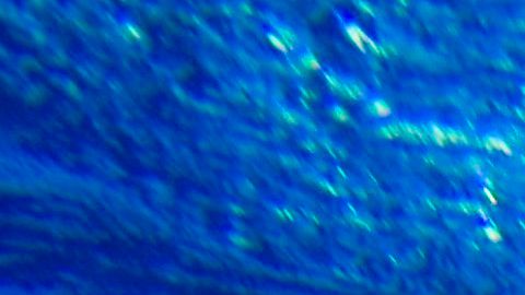 Hombre salva milagrosamente a niño con autismo que se ahogaba en una piscina