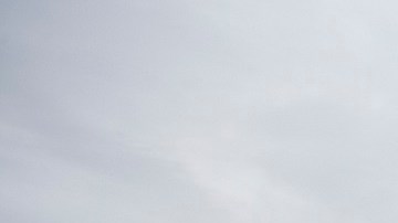 Senadores buscan que el presidente Biden asegure la protección de inmigrantes con TPS y 'dreamers'.