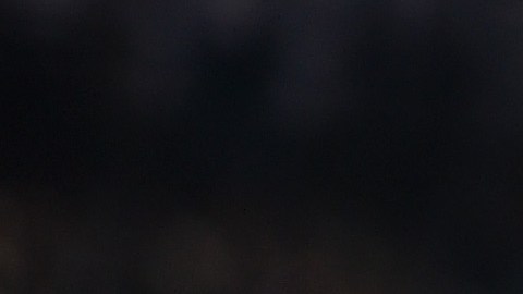 La Serie A, primera división del fútbol italiano.