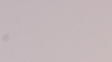 Mark Esper (d), fue secretario de Defensa durante el gobierno de Trump.