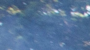 George Floyd Dallas Garland SWAT