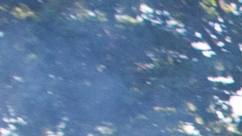 George Floyd Dallas Garland SWAT