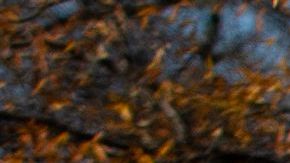 Banderas blancas recordaron a los 276,080 muertos por Covid en Estados Unidos el 30 de noviembre de 2020.