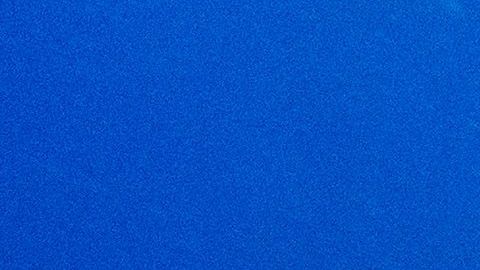 Florida Tampa Tiburones Pasco