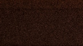 Antisemitismo Portland Vandalismo