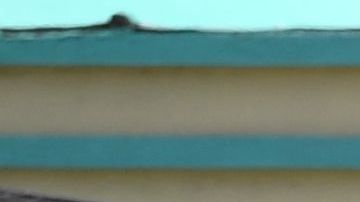 A black vehicle covered with stickers is trapped by police cars at the corner of Fairfax Avenue and Sunset Boulevard where a body covered in a white sheet lies under a tent next to it in Los Angeles on April 24, 2021 in what appears to be an officer-involved shooting. - On the evening of the shooting the LAPD official twitter account read: There has been an Officer-Involved Shooting on Sunset Blvd. near Fairfax in Hollywood Division. Around 2:35 p.m. officers were heading to a radio call with their lights and sirens on when a car pulled in front of them, stopped suddenly and reversed into the police car. The driver of the car exited, was wearing body armor, and had his right hand concealed behind him. He moved toward the officers who had exited their patrol car. He counted "3, 2, 1" and began to move his arm to the front of his body, at which time there was an officer involved shooting. The man was struck by gunfire and pronounced deceased at scene. Force Investigation Division detectives are on scene conducting interviews and gathering evidence.The man who was shot and killed by the Los Angeles Police Department has been identified as 34-year-old Richard Solitro. (Photo by VALERIE MACON / AFP) (Photo by VALERIE MACON/AFP via Getty Images)