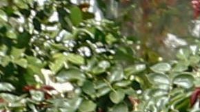 Police officers speak with a local resident as emergency responders respond to a fire at the house of the suspect of a shooting, after nine people were reported dead including the shooter on May 26, 2021 at the San Jose Railyard in San Jose, California. - Multiple people were killed in a shooting Wednesday at a rail yard in California's Bay Area, police said, the latest instance of deadly gun violence in the United States. "I can't confirm the exact number of injuries and fatalities. But I will tell you that there are multiple injuries and multiple fatalities in this case," Russell Davis, a Santa Clara County Sheriff's deputy, told journalists, adding that the gunman was dead. (Photo by Amy Osborne / AFP) (Photo by AMY OSBORNE/AFP via Getty Images)