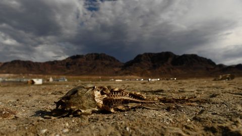 Sequía en Nevada deja al descubierto más restos humanos en pleno lago Mead