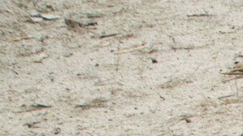ONU advierte que millones de personas están en alto riesgo de morir de hambre por la sequía en África