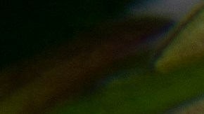 View of cannabis plants at the Medical Cannabis Research and Patient Support Association (APEPI) production farm in Paty dos Alferes, Rio de Janeiro state, Brazil on September 9, 2021. - Although the cultivation of cannabis is prohibited in Brazil, in 2016 lawyer Margarete Brito -founder of APEPI- and her husband Marcos Langenbach became the first Brazilians to get a judicial authorization for self-cultivation to alleviate the epileptic crisis of their daughter Sofia, now 12 years old. (Photo by MAURO PIMENTEL / AFP) (Photo by MAURO PIMENTEL/AFP via Getty Images)