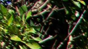 A Yellow Police tape blocks access to the 1100 block of Maytor place where Jacqueline Avant's house is at the top of the hill, in Beverly Hills , California on December 1, 2021. - The wife of the man known as the "Godfather of Black Music" was shot and killed Wednesday in a break-in at the couple's Beverly Hills home, US media reported. Jacqueline Avant died after being shot by a burglar, who also opened fire on a security guard, according to tabloid website TMZ. (Photo by VALERIE MACON / AFP) (Photo by VALERIE MACON/AFP via Getty Images)